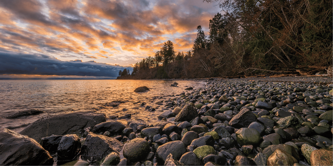 landscape photo of comox valley beach and tree line