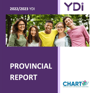 YDI Provincial Report Cover