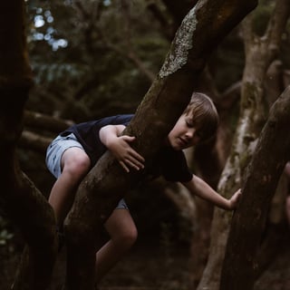 child climbing tree in forest